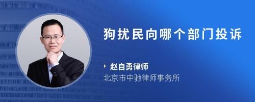狗扰民向哪个部门投诉