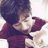养猫不如养猪