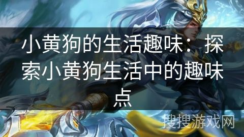 小黄狗的生活趣味：探索小黄狗生活中的趣味点