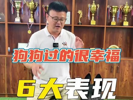 第37集:狗狗过得很幸福的6大表现。#训犬教程 #宠物训练学校 #奇异动物召集令 #养狗经验分享 #铲屎官的乐趣