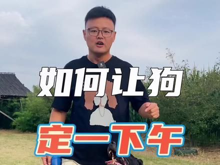 第38集:让狗定一下午,我是不舍得。#奇异动物召集令 #训犬方法#训犬教程 #教狗狗定 #训犬粮