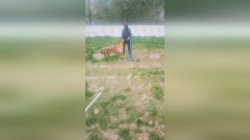 魔王日常训练