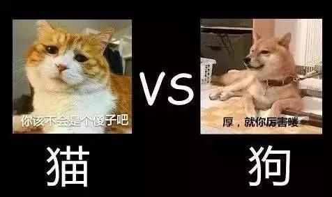 和人类相处久了，狗会不会也以为自己是人？