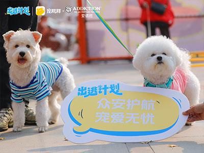 宠胖胖出逃计划圆满收官，携手跨品类品牌为热爱共赴