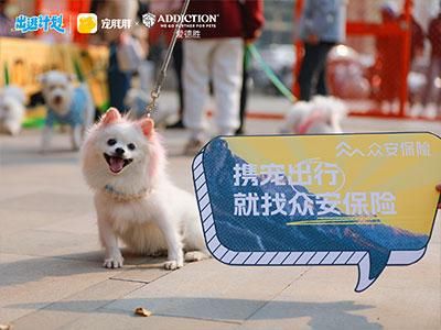 宠胖胖出逃计划圆满收官，携手跨品类品牌为热爱共赴