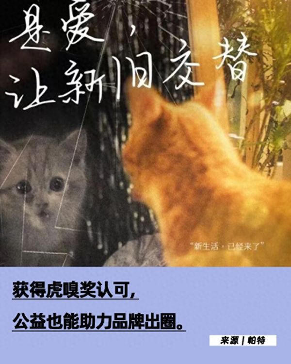 从共鸣到破圈，公益给宠物品牌带来了什么？