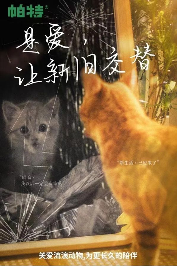 从共鸣到破圈，公益给宠物品牌带来了什么？