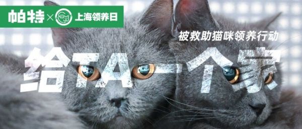从共鸣到破圈，公益给宠物品牌带来了什么？