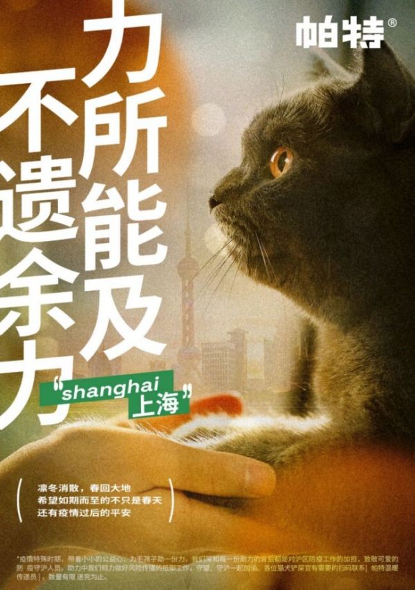 从共鸣到破圈，公益给宠物品牌带来了什么？