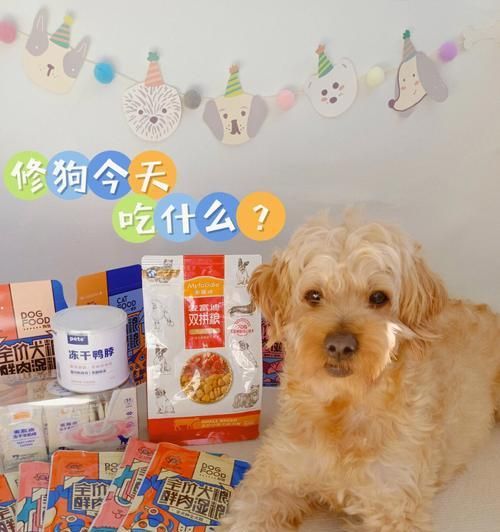 如何合理安排狗狗的饮食？（掌握狗狗一天几餐的科学喂养方法，让宠物健康快乐成长）