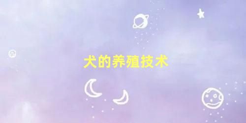 犬的养殖技术