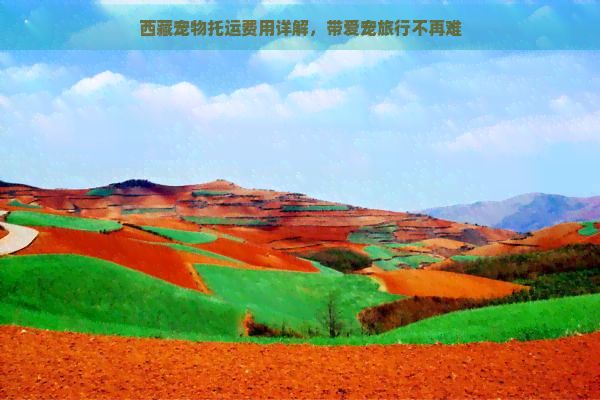  宠物托运费用详解，带爱宠旅行不再难