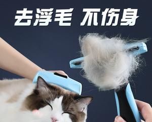 如何有效处理宠物狗狗脱毛？（掌握这些技巧，轻松应对狗狗脱毛难题！）