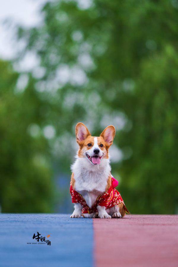 EOS 5D Mark III / EF 135mm F2 L USM / 1/640秒 F2 ISO100