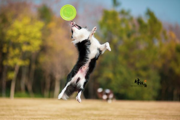 EOS 5D Mark III / EF 200mm F1.8 L USM / 1/4000秒 F1.8 ISO100