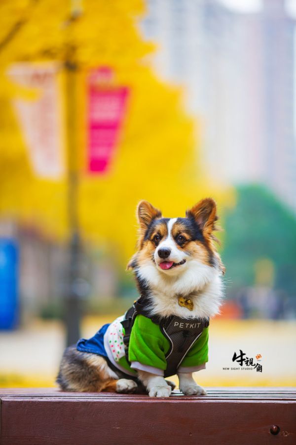 EOS 5D Mark III / EF 135mm F2 L USM / 1/1600秒 F2 ISO500
