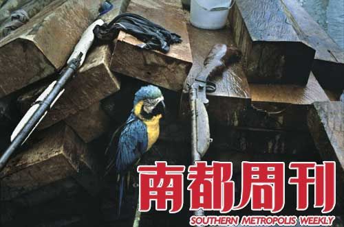 野生动物买卖每年交易金额可能达100亿美元