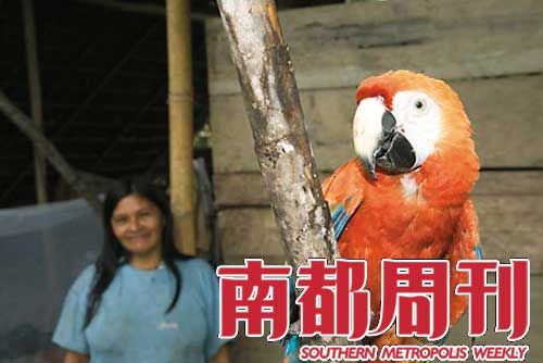 野生动物买卖每年交易金额可能达100亿美元