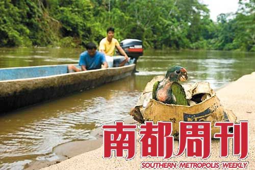 野生动物买卖每年交易金额可能达100亿美元