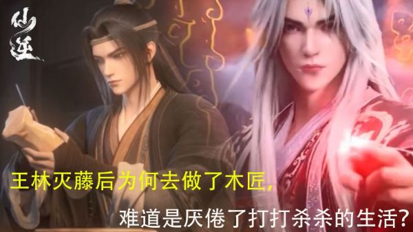 仙逆：王林灭藤后为何去做了木匠，难道是厌倦了打打杀杀的生活，还是想得到心灵的救赎