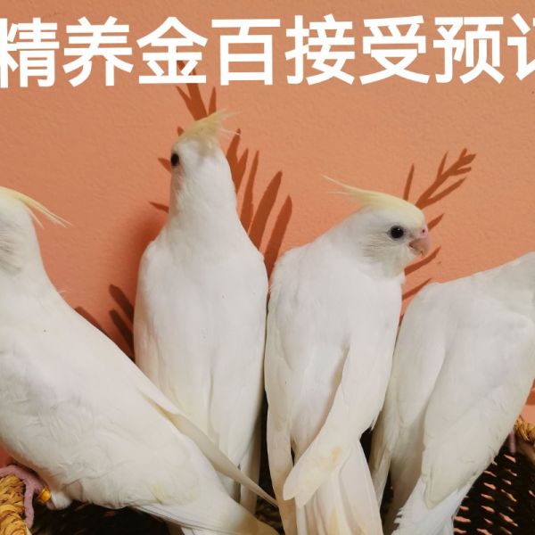 店主头像