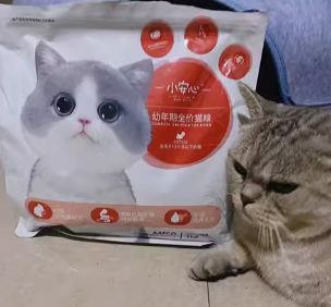 小安心猫粮有人喂过吗？到底好不好呢？