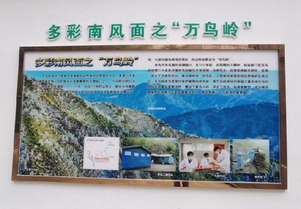 10月初在千年鸟道看候鸟迁徙