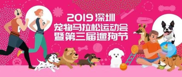 世界动物日：观澜湖宠物马拉松 百余只狗狗竞跑萌翻天