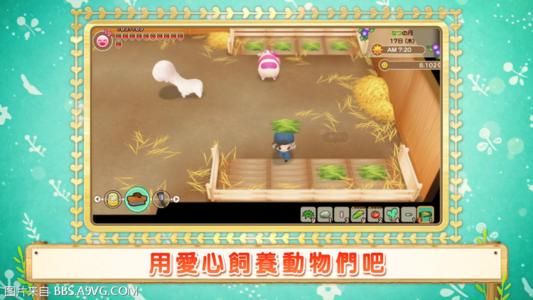 牧场物语重聚矿石镇宠物获取 宠物训练度提升方法 1