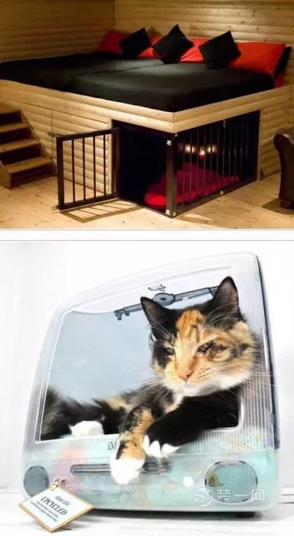 宠物家居装修效果图