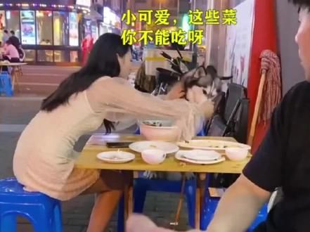 #狗子成精了 不把他们送学校可惜了