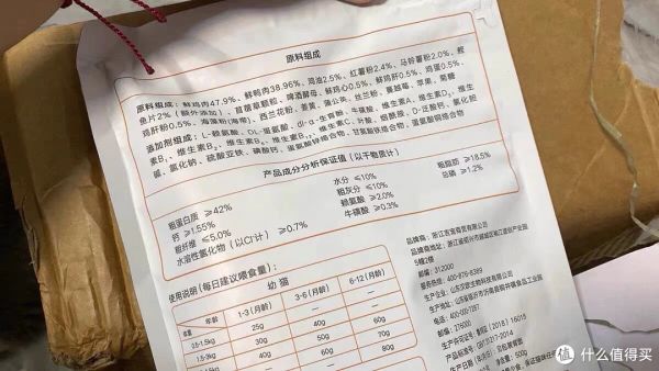 养猫小贴士:如何让你的猫咪健康快乐
