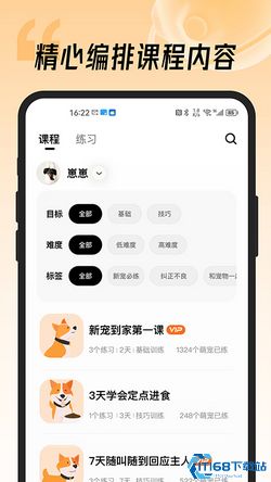 宠物记宠物训练