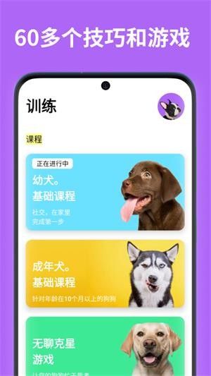 EveryDoggy 1