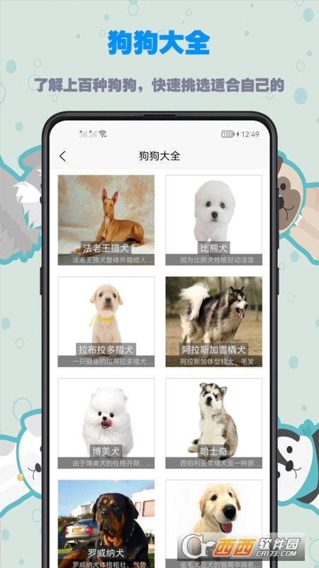 训狗教程app