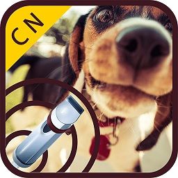 训练狗哨training dog whistle