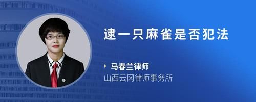 逮一只麻雀是否犯法