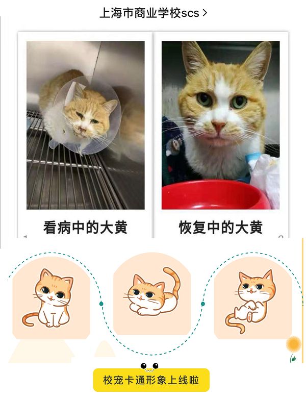 来源/校方供图