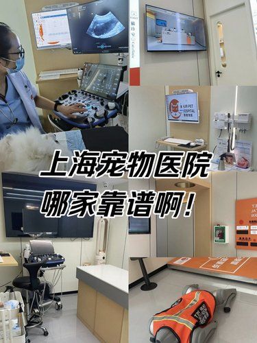 上海宠物医院哪家靠谱啊！！！