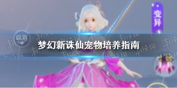 游侠网1