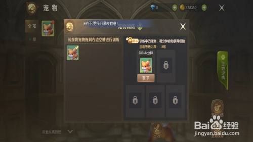 龙之谷2如何进行宠物训练？