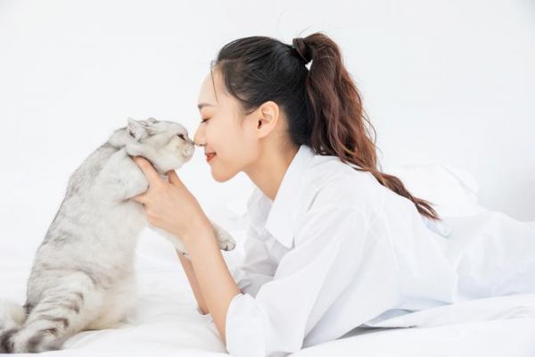 拍摄喵星人的构图技巧，拍好可爱的小喵喵