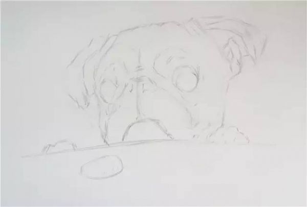 犬绘画过程：详细步骤教程与绘画技巧解析