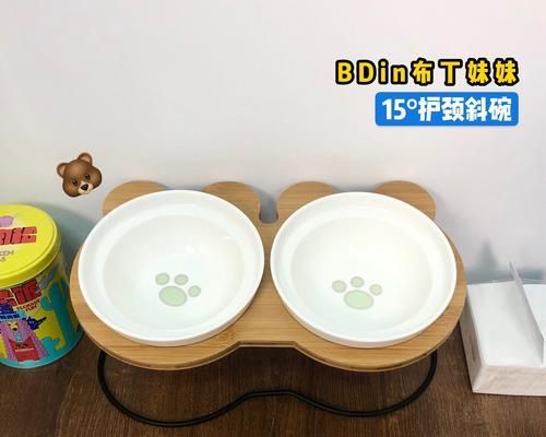 如何选择适合你家狗狗的食盆？（从材质到大小，这些细节你必须知道！）