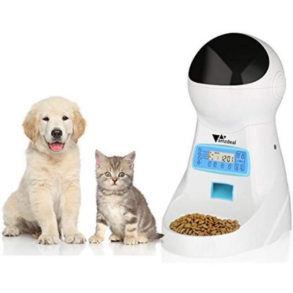 你真的会喂猫吗？从出生到老年，猫咪饮食攻略，打包带走！