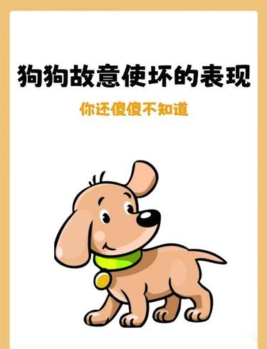狗狗故意使坏的表现