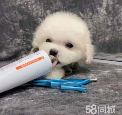 店主头像