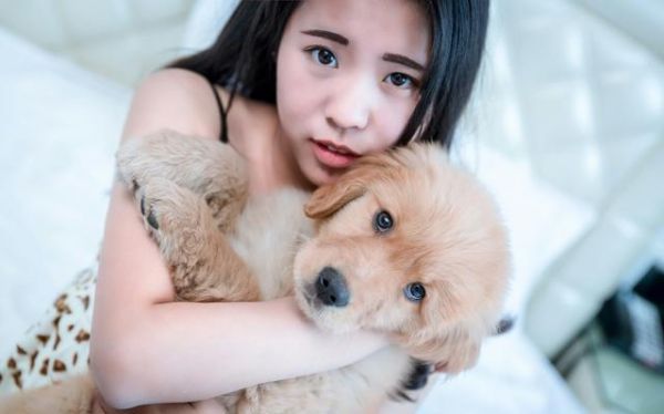 狗狗易患的7大