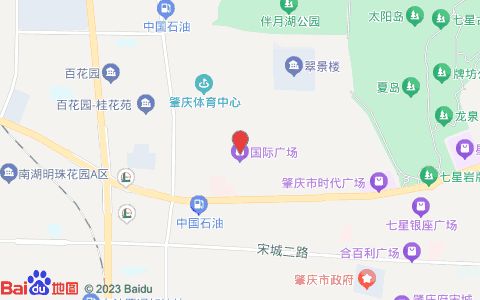 康龙宠物诊所(国际广场店)位置示意图