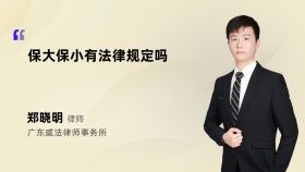保大保小有法律规定吗